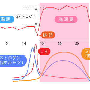 不妊症の体外受精と助成制度