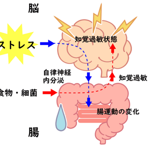 過敏性腸症候群には鍼灸治療が必要です