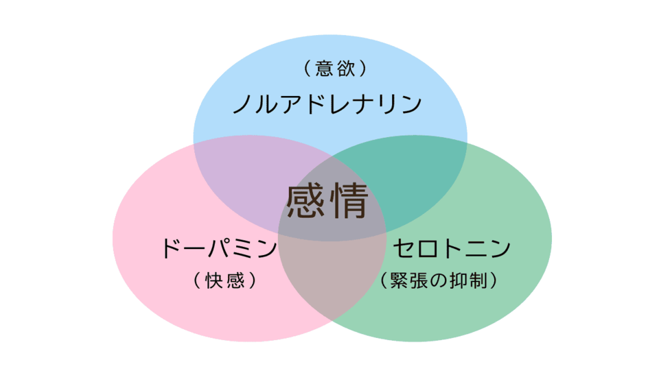 うつ病に関係するホルモン：セロトニン