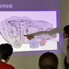 2012/3/10 アカデミーにて顔面神経麻痺に関しての講義をしました。